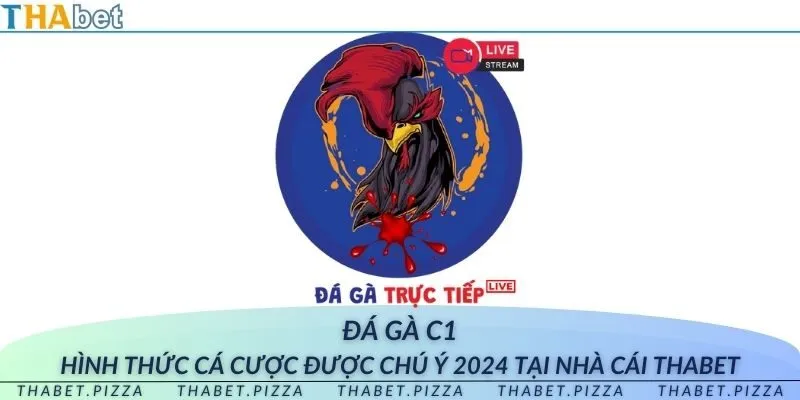 Đá gà C1 – Hình thức cá cược được chú ý 2024 tại nhà cái THAbet