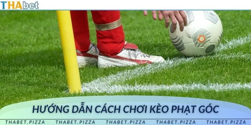 Quy định về luật chơi chi tiết