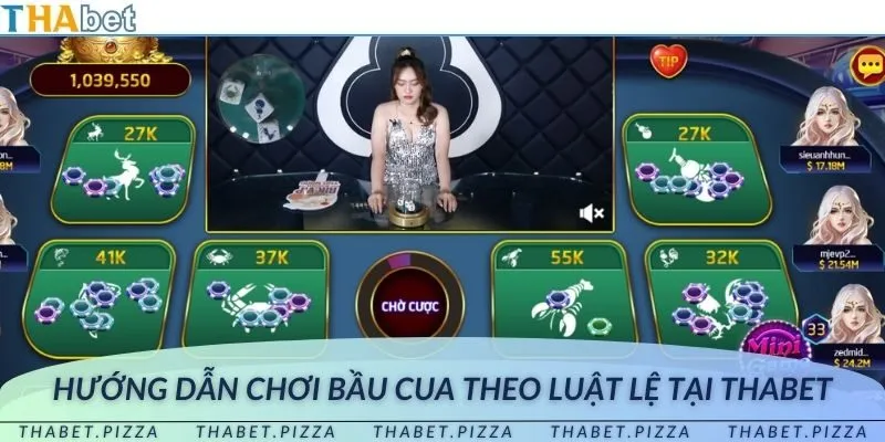 Tìm hiểu luật chơi thật kỹ để yên tâm bỏ tiền cược