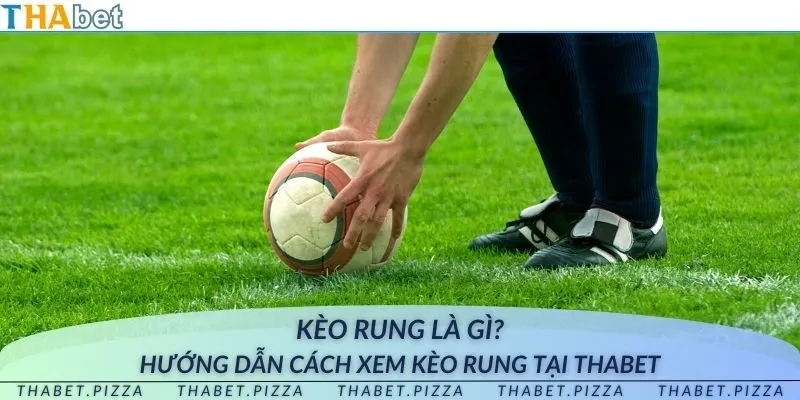 Kèo rung là gì? Hướng dẫn cách xem kèo rung tại THAbet